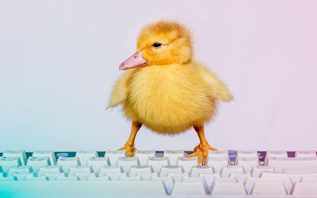 Why isn’t your site appearing on Google ? The key role of the SEO audit