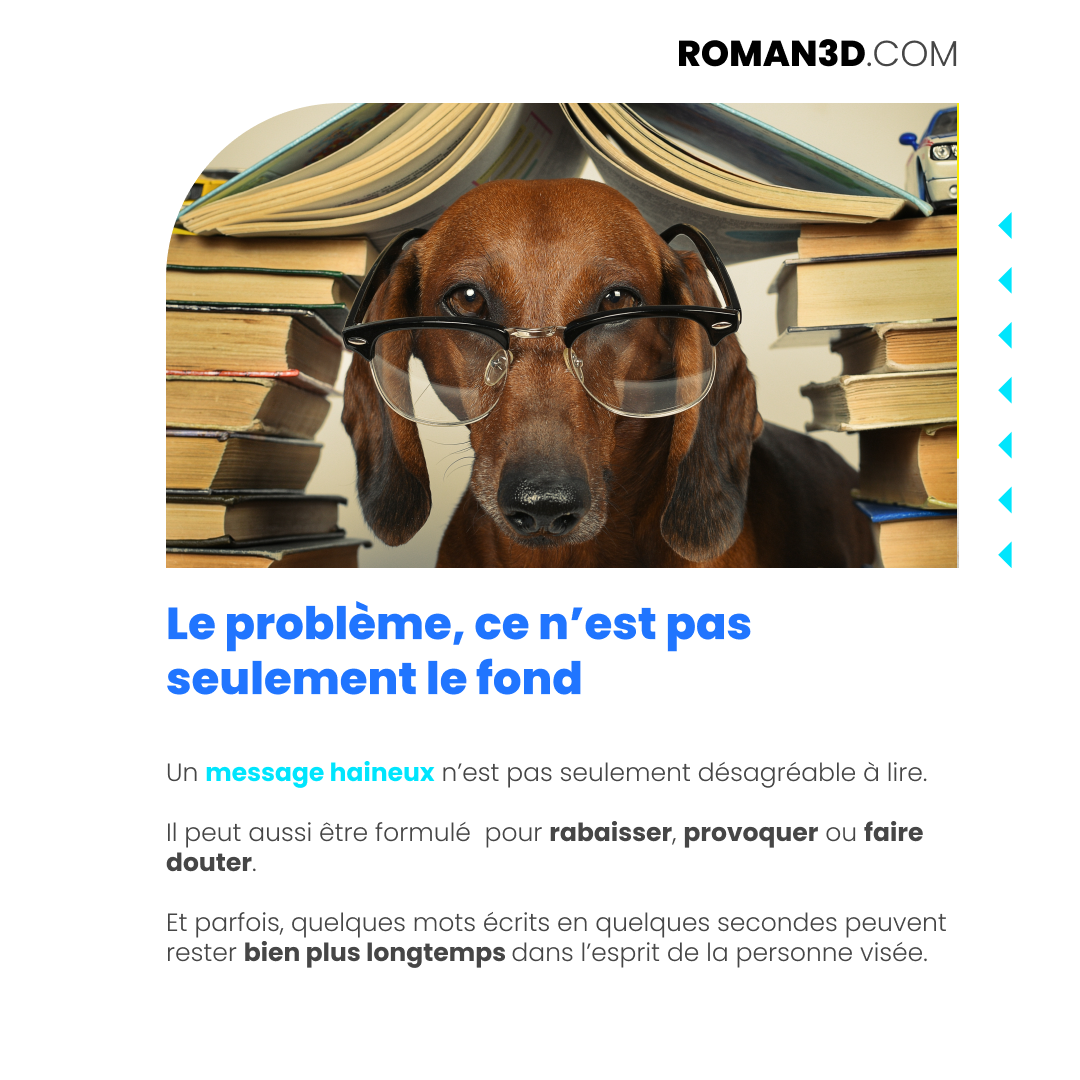 roman3d-hd-carrousel-fr-12-page-04.1